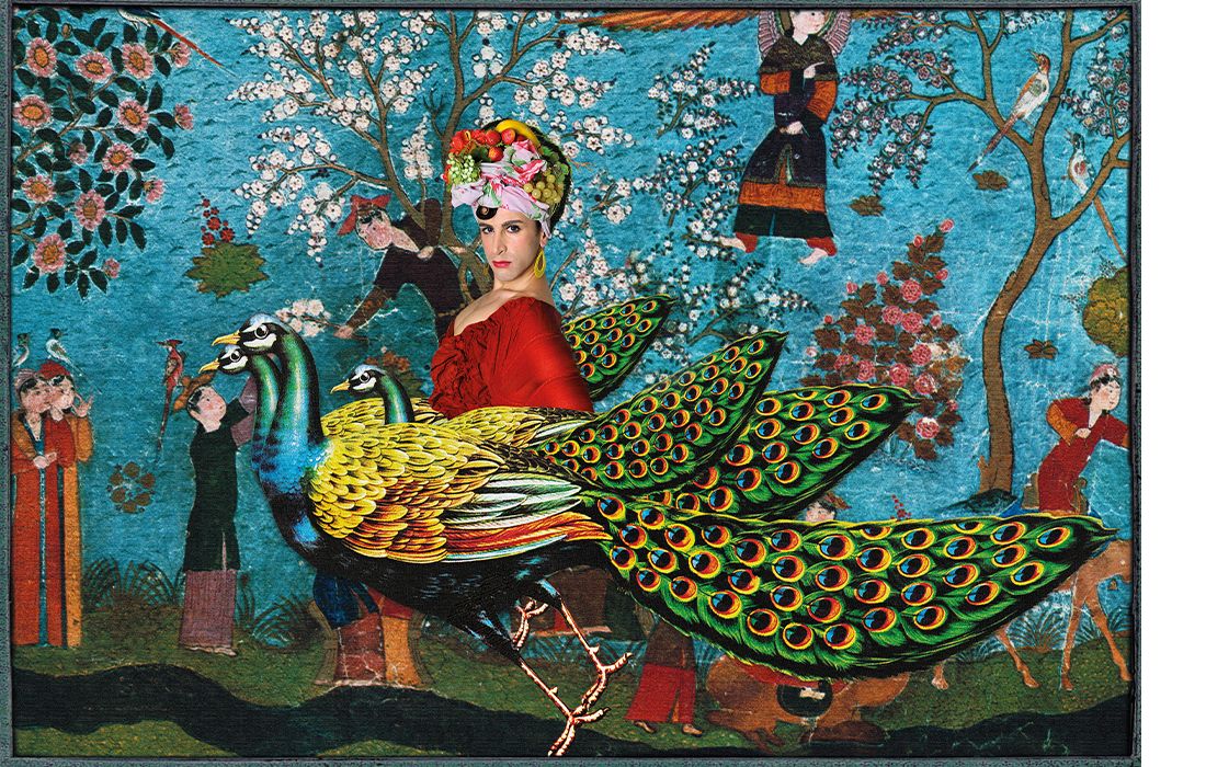 DIVINE COMEDY, 2010